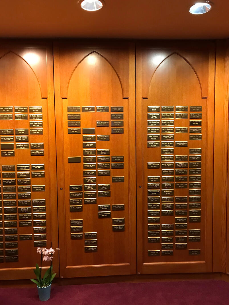 Efficitur faucibus vitae